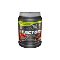 PVM Reactor